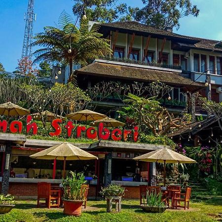 Rumah Stroberi Organic Farm & Family Lodge Лембанг Экстерьер фото