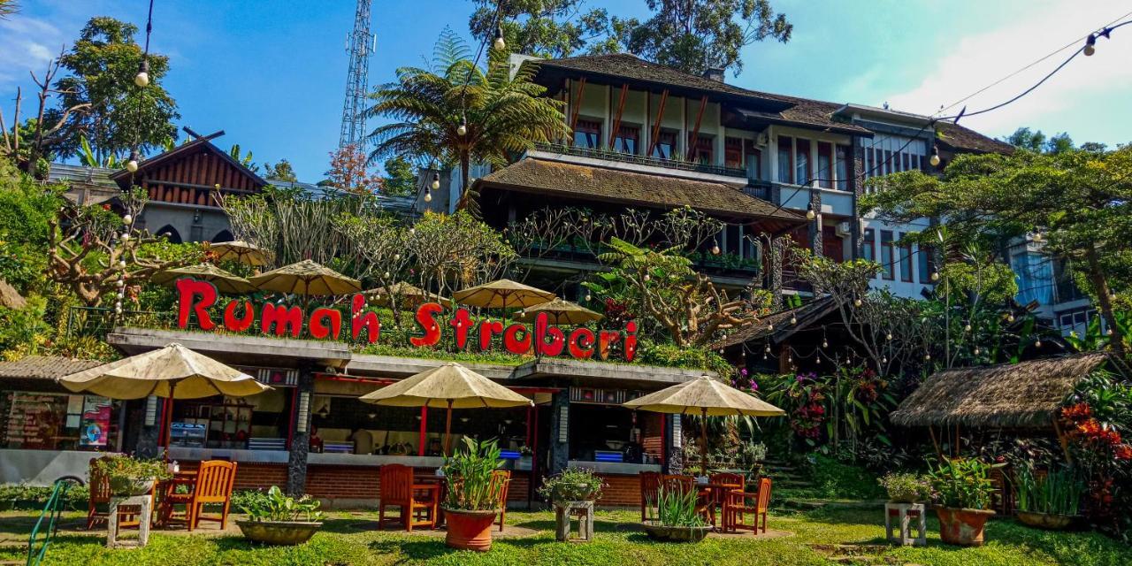 Rumah Stroberi Organic Farm & Family Lodge Лембанг Экстерьер фото